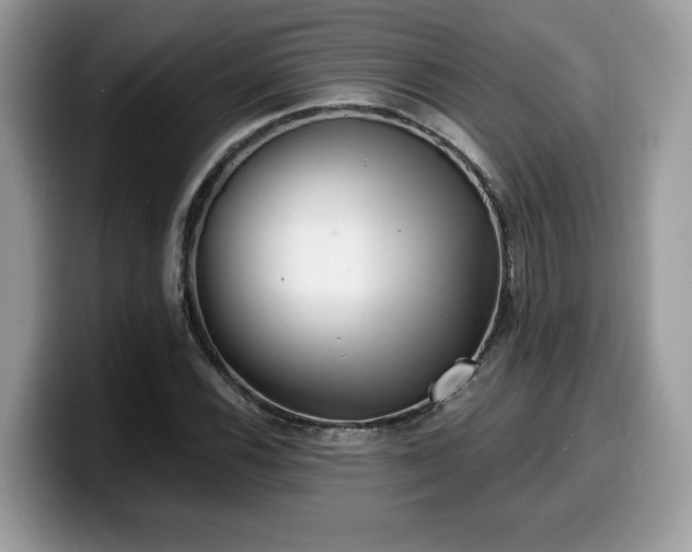 X0000099971116200805301328