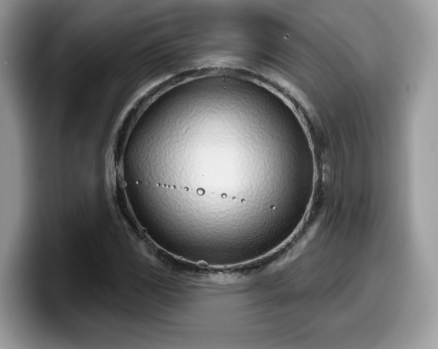 X0000099971117200805301328