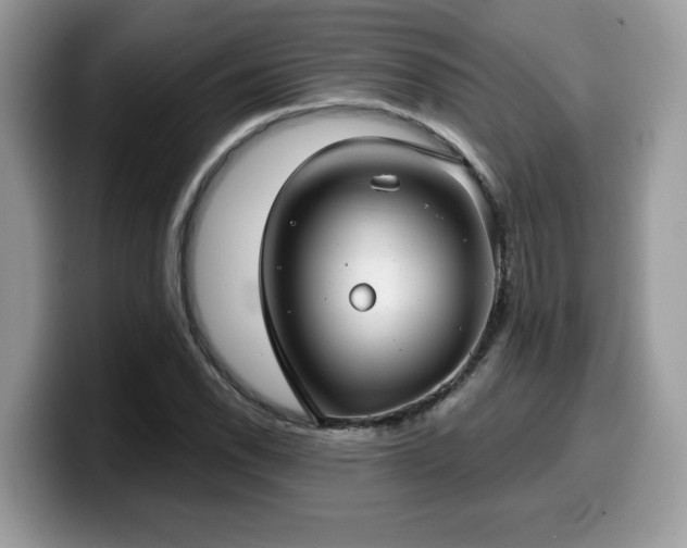 X0000099971118200805301328