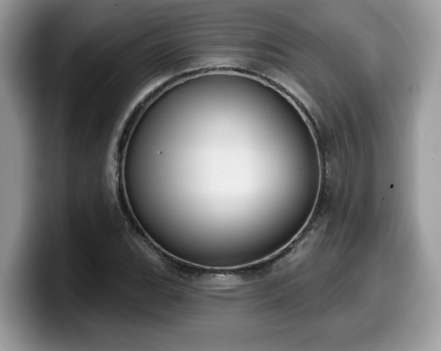 X0000099971119200805301328