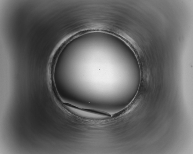 X0000099971120200805301328