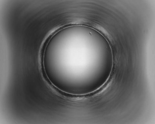 X0000099971122200805301328