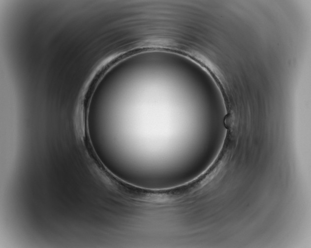 X0000099971123200805301328