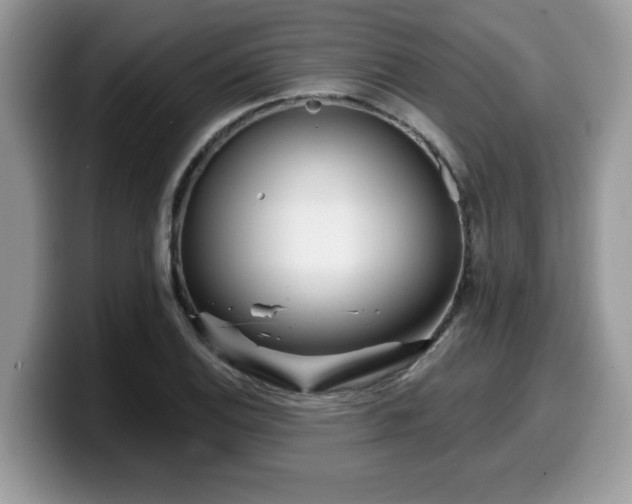 X0000099971124200805301328