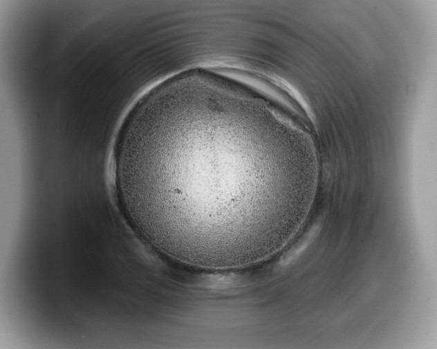 X0000099971125200805301328