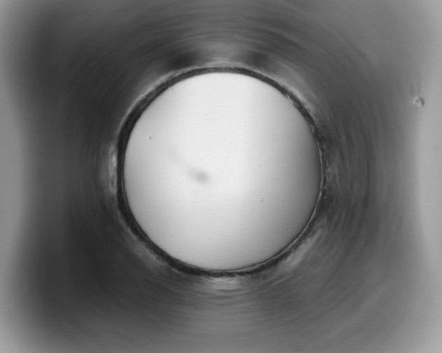 X0000099971126200805301328