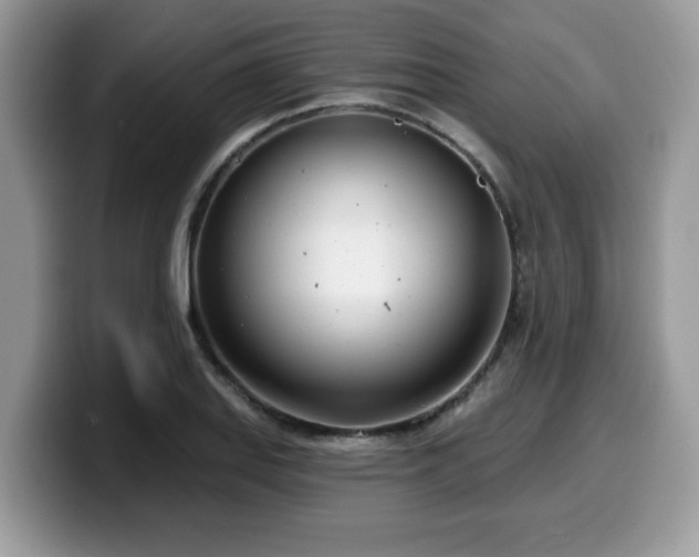 X0000099971127200805301328