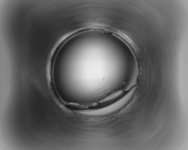 X0000099971128200805301328