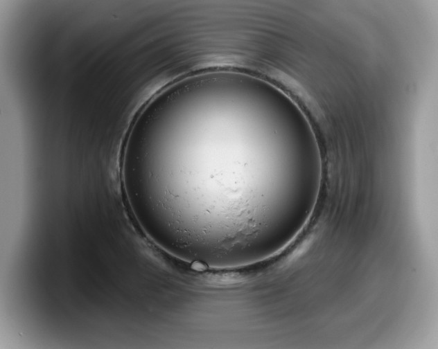 X0000099971129200805301328