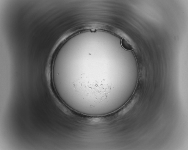 X0000099971130200805301328