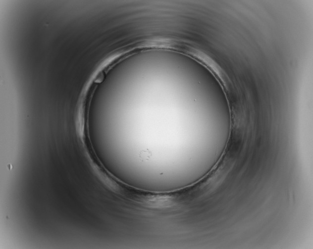 X0000099971131200805301328