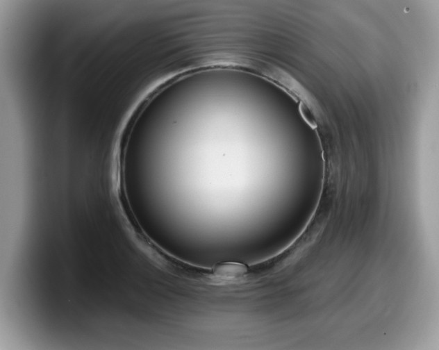 X0000099971132200805301328