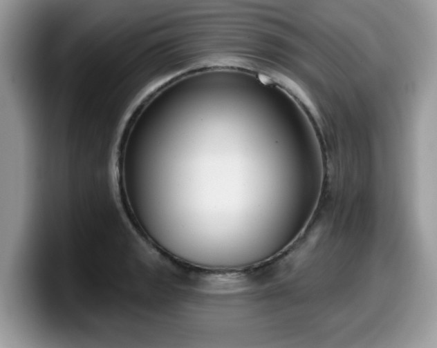 X0000099971133200805301328