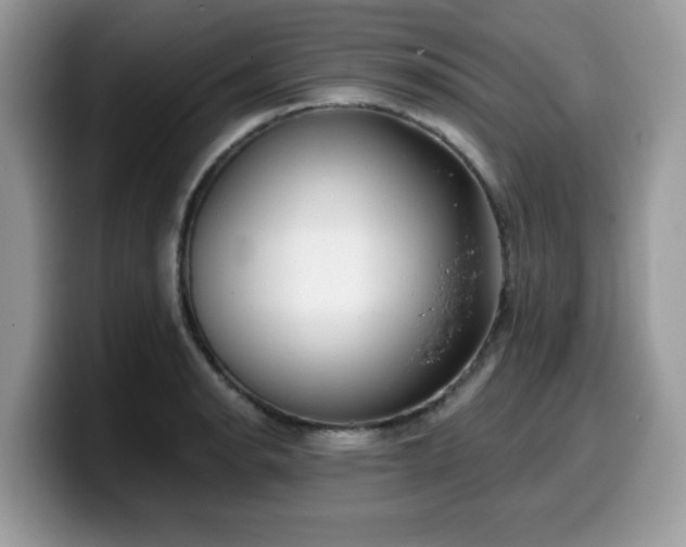 X0000099971134200805301328