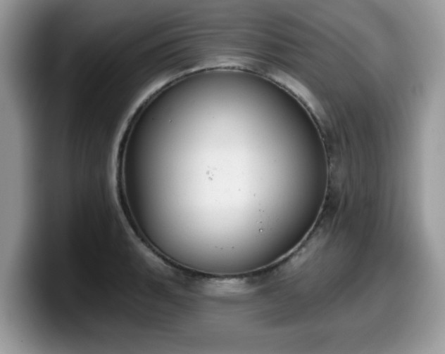 X0000099971135200805301328