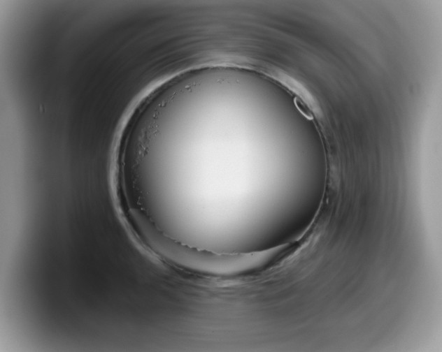 X0000099971136200805301328