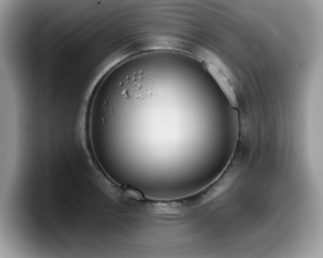 X0000099971138200805301328