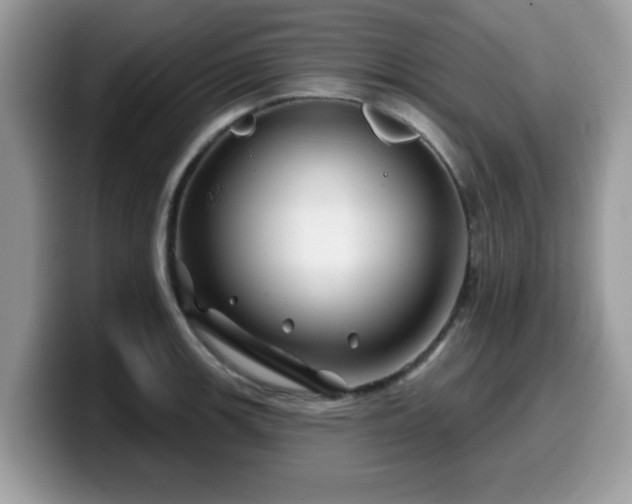 X0000099971139200805301328