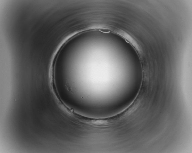 X0000099971140200805301328