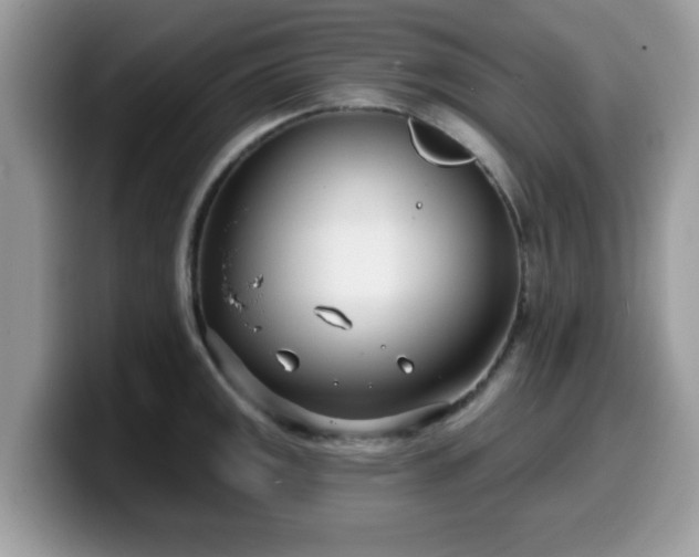 X0000099971141200805301328