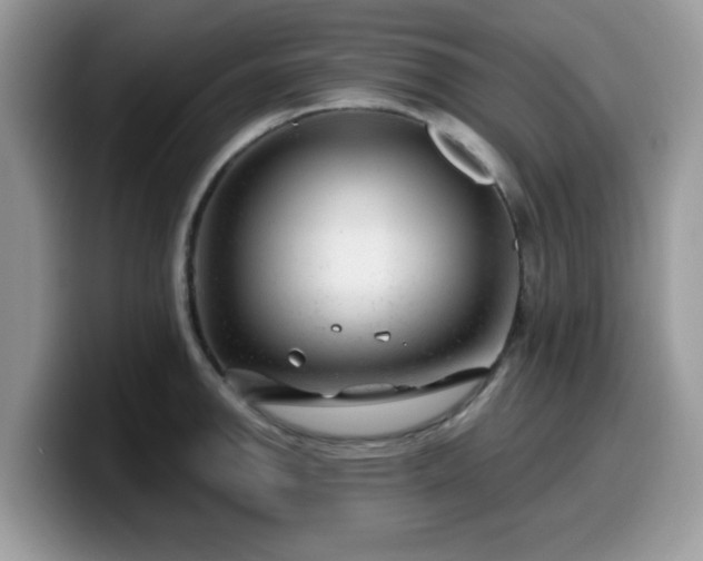 X0000099971142200805301328