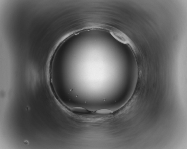 X0000099971143200805301328