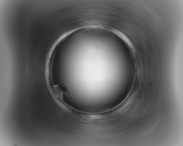 X0000099971144200805301328