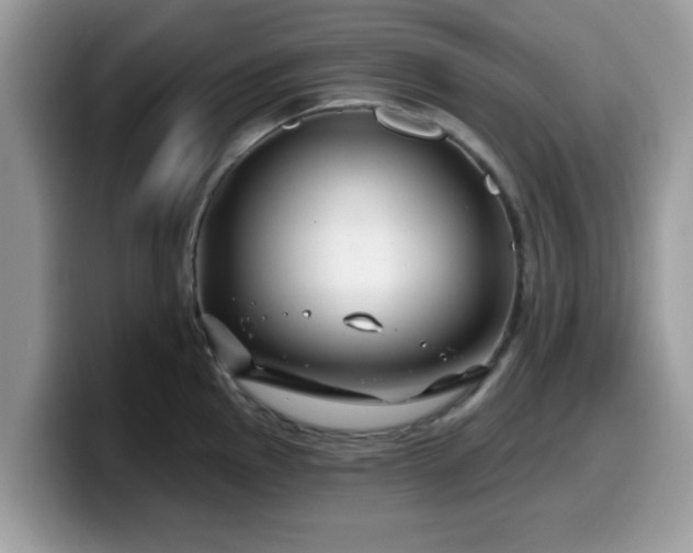 X0000099971145200805301328