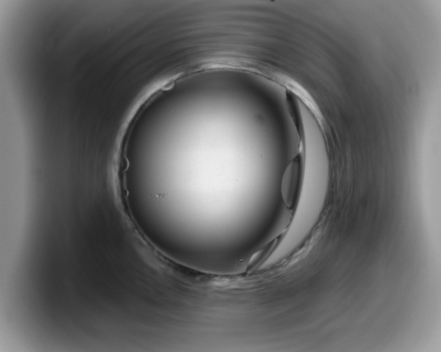 X0000099971146200805301328