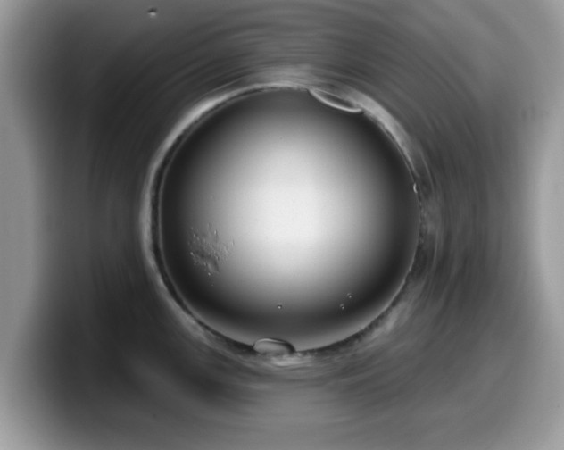 X0000099971147200805301329