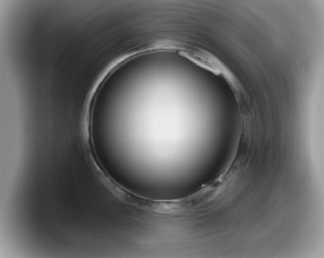 X0000099971148200805301329