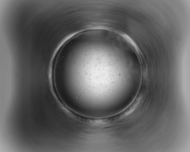 X0000099971149200805301329