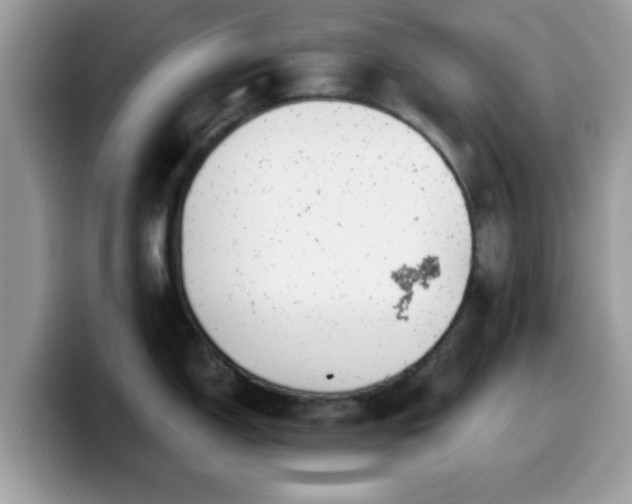 X0000099971150200805301329