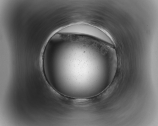 X0000099971151200805301329