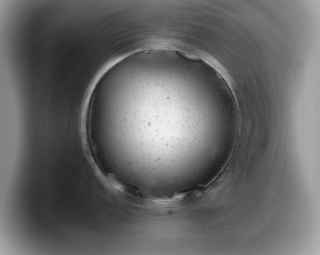 X0000099971152200805301329