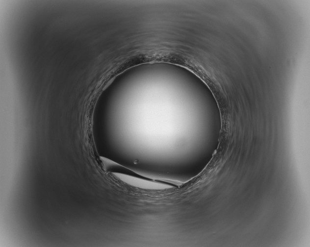 X0000099971153200805301328