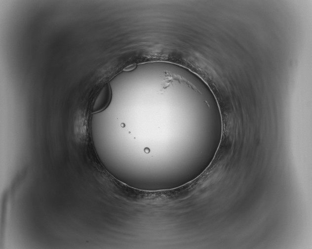 X0000099971154200805301328