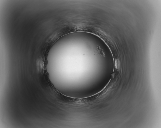 X0000099971155200805301328