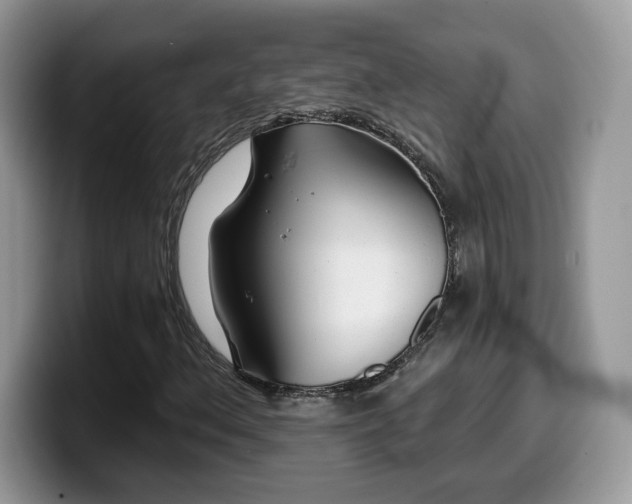 X0000099971156200805301328