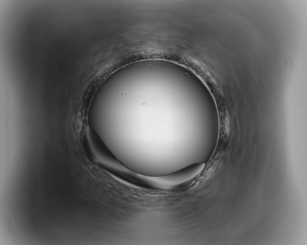 X0000099971157200805301328