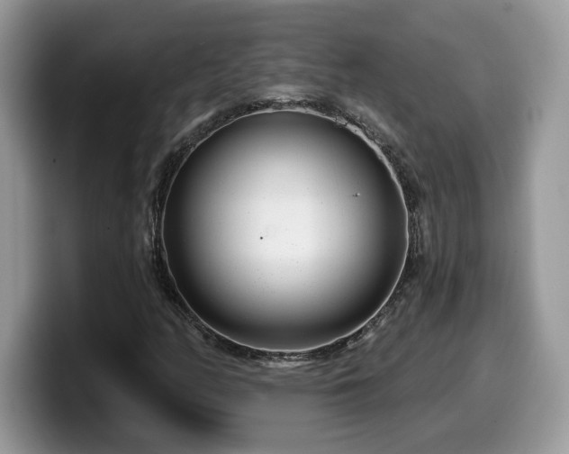 X0000099971158200805301328