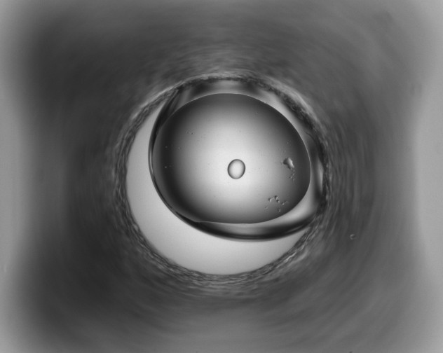 X0000099971160200805301328