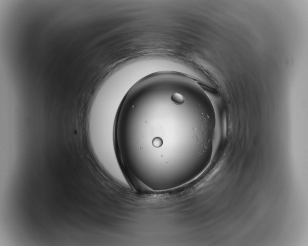 X0000099971161200805301328