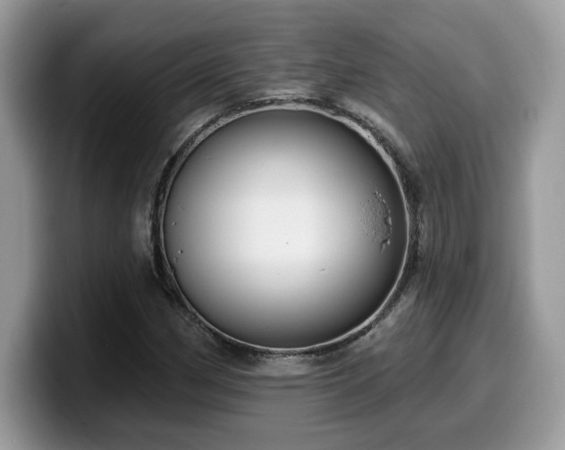 X0000099971162200805301328