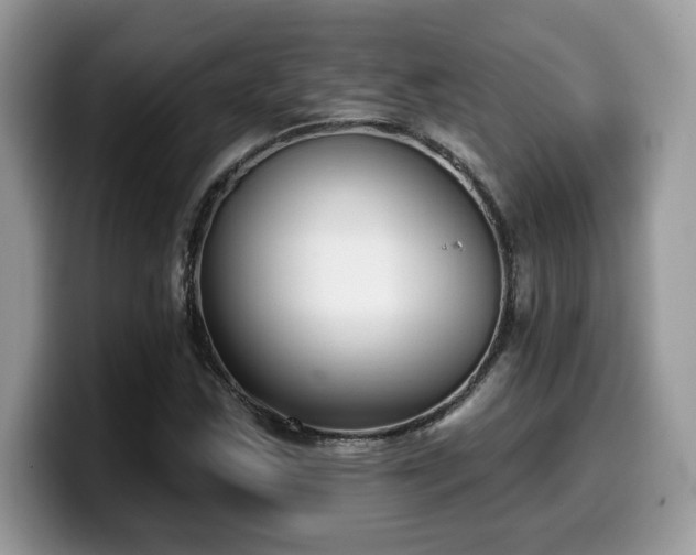 X0000099971163200805301328