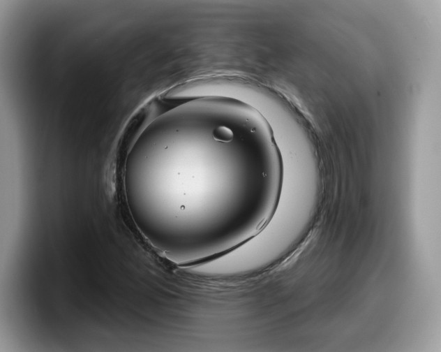 X0000099971165200805301328