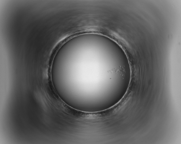 X0000099971166200805301328