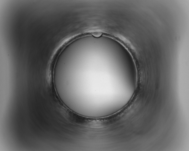 X0000099971167200805301328