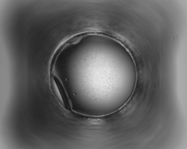 X0000099971168200805301328