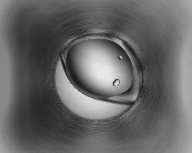 X0000099971169200805301328